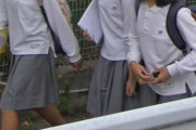 【JK】女子中学生の画像をストリートビューで集めたので公開する