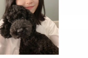 櫻井梨央ちゃんと愛犬ナイトのツーショットｷﾀ━(ﾟ∀ﾟ)━!