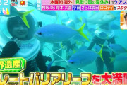 【櫻坂46】海外ロケ！ラヴィットさん素晴らしすぎます