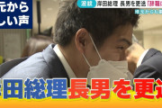 岸田翔太郎「高学歴です。元一流商社マンです。政治家の血筋です。爽やかです」←天下取り損ねた理由