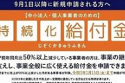 【悲報】沖縄のコロナ給付金、全国最大規模の詐欺事件に発展する可能性「やっぱり最後は金目だった」