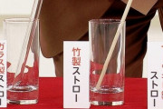 プラや紙に続く『第3のストロー』が爆誕！「ガラス製」「竹製」などがある模様