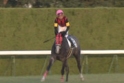 【競馬】武がなかなか勝たせられないエイシンティンクルを岩田が完勝