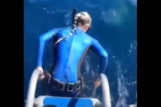 もう少しでサメに食われるところだったダイバーの映像が(((ﾟДﾟ)))