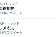 【悲報】次の首相に小梅太夫かｗｗｗｗｗｗｗｗｗｗ