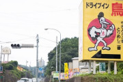 ドライブインってのが絶滅危惧種なのはやはり道の駅の存在が大きいのか