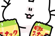 【上げ底】「食べやすいサイズになりました」→ 実質値上げでは⁉