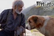 犬は愛を返してくれる、ハリソン・フォード主演作「野性の呼び声」特別映像