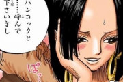 【ONEPIECE -ワンピース】尾田「世界一の美女を描け？うーん…こんなもんでええやろｗｗｗ」