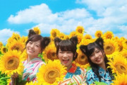 ひまわりが似合う乃木坂メンバーは？