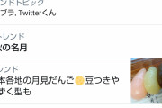 【悲報】Twitter、落ちる