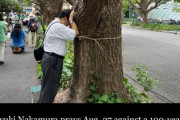 【画像】共産党の方、神宮外苑の街路樹に勝手にしめ縄巻いて祈りを捧げる　海外報道「祈ってる；；」現実「このイチョウは移植検討ですので^^;」