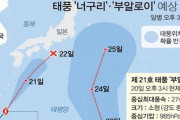 韓国の反応「冷酷非道！台風20号、21号の日本接近を喜ぶ韓国人、サンキュー台風、日本をすっきり掃き捨てろ！」