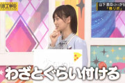 【乃木坂46】新バラエティ『オトラクション』に山下美月ｷﾀ━━━━(ﾟ∀ﾟ)━━━━!!