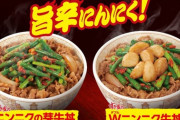 【朗報】すき屋、最終兵器ニンニクの芽牛丼を発売へｗｗ
