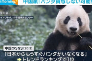 中国SNSで「日本からもうすぐパンダがいなくなる」がトレンド1位に