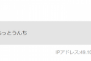 【独自】暇空茜氏を誹謗中傷した石丸伸二信者、個別記事でIP表示され精神崩壊を起こすｗｗｗｗｗ