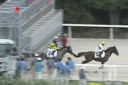 【大井3R】2頭立てwww 単勝140円･馬連100円･馬単190円