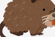 アメリカ当局「外来種のヌートリアを捕獲して食べよう！」　住民らに要望する