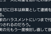 【大麻逮捕】高樹沙耶さん、全く反省してない模様ｗｗｗｗ