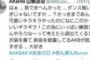【AKB48】非選抜がテレビに出ている選抜メンバーを応援してるのって切ないよな【ずん】