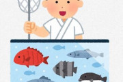 ？？？「天然物の魚の方が美味い」 ← これ意味不明だよなｗｗｗｗｗｗｗｗ