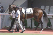 【競馬予想】第38回根岸ステークス(GⅢ) /2024