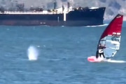 【動画】サンフランシスコ湾でウインドサーファーがクジラに衝突する事故。
