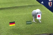 的中率50%のインコ、W杯ドイツ戦で日本の敗北を予想！！！