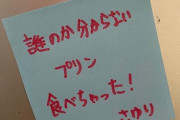 【乃木坂46】松村沙友理、誰のか分からないプリンを食べてしまう・・・