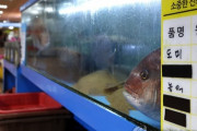 【韓国】 魚介類「日本離れ」　汚染水放出決定でさらに輸入減