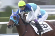 【競馬・若葉S】アドマイヤビルゴ強すぎワロタwwwwwwwwwwwwww