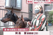 【悲報】動物愛護団体の女さん、飼い主を批判するためにドーベルマンを盗んだ自作自演がバレて逮捕ｗｗｗｗｗｗ