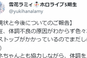 ラミィちゃん、原因不明の体調不良により休養中　クリスマスライブはチャットでの同時視聴に