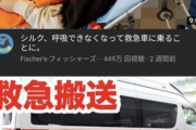 【悲報】人気youtuberフィッシャーズ、動画撮りながら救急車呼んでおいて怒られたら医療従事者に逆ギレ