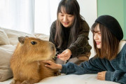 海外「金儲けの為に動物を利用するのってどうなの？」カピバラが幸せなら俺はそれでいいよ