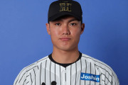 阪神・西純矢が打者転向へ　2月右肘手術も回復かなわず