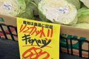 キャベツの値段、限界突破
