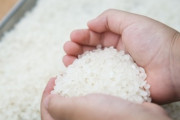 【家庭】“備蓄米放出”3分の1は「古米」おいしく食べるコツは？