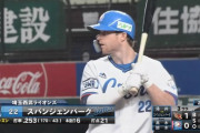 西武スパンジェンバーグ　42試合　67三振←長距離砲かな？