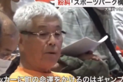 【悲報】宮城大郷町スポーツパーク構想否決される「サッカーに町の命運をかけるのはギャンブル」←これ…