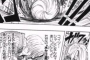 ワンピース史上、一番絶望感のあるシーンwwwwwwwwww