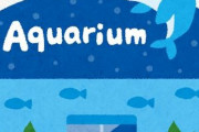水族館「なぞ生物が届きました！！これはなんというものでしょう！！分かりませんネットの皆様！ｗ」←そんな事ある？