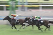 【不知火S】怪物エスコーラ3勝クラス突破！OP入り