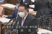 【悲報】国民民主党さん、とうとうアビガンにまで「総理のお友達優遇案件とも重なる」とか言い出してしまう（国会動画）