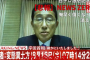 岸田総理のフェイク動画を作った25歳無職が反論「これが駄目なら風刺画も駄目じゃないですか！」