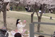 韓国人「韓国人美少女が桜満開の公園でモデルデビュー！」→「とても可愛いです」　韓国の反応