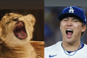 大谷翔平「由伸の叫んでる顔、赤ちゃんライオンみたいやな…」