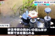 【悲報】撮り鉄さん、勝手に田んぼに水を張ってしまう