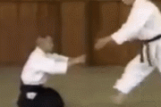 【GIF】合気道の達人、塩田剛三が強すぎる件・・・